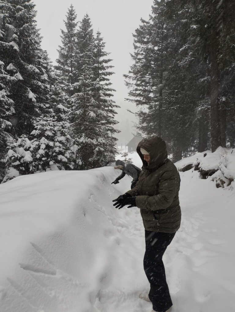 Žena uživa u snježnoj planinskoj idili i promišlja o osobnom rastu
